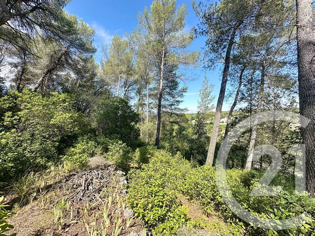 maison à vendre - 4 pièces - 106.0 m2 - CASTELNAU LE LEZ - 34 - LANGUEDOC-ROUSSILLON - Century 21 Vicarello