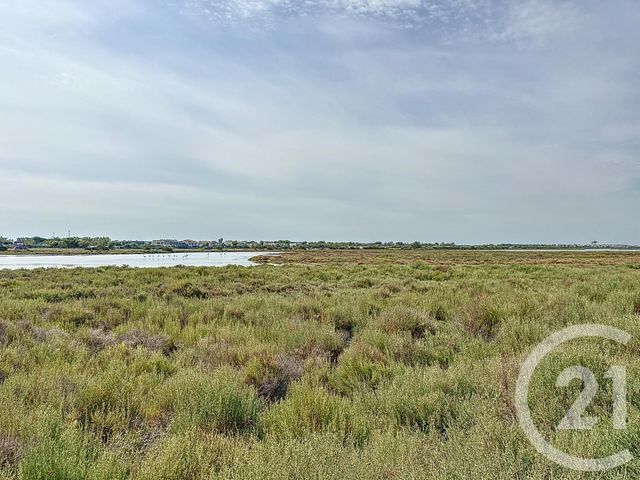 maison à vendre - 5 pièces - 170.0 m2 - PALAVAS LES FLOTS - 34 - LANGUEDOC-ROUSSILLON - Century 21 Vicarello