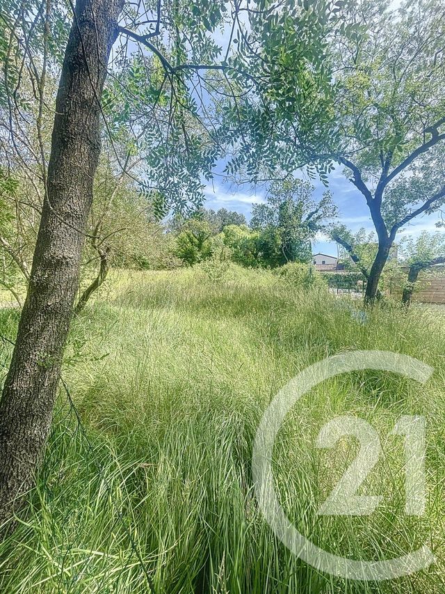 terrain à vendre - 981.0 m2 - PRADES LE LEZ - 34 - LANGUEDOC-ROUSSILLON - Century 21 Vicarello