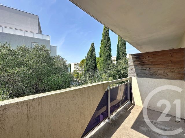 appartement - MONTPELLIER - 34