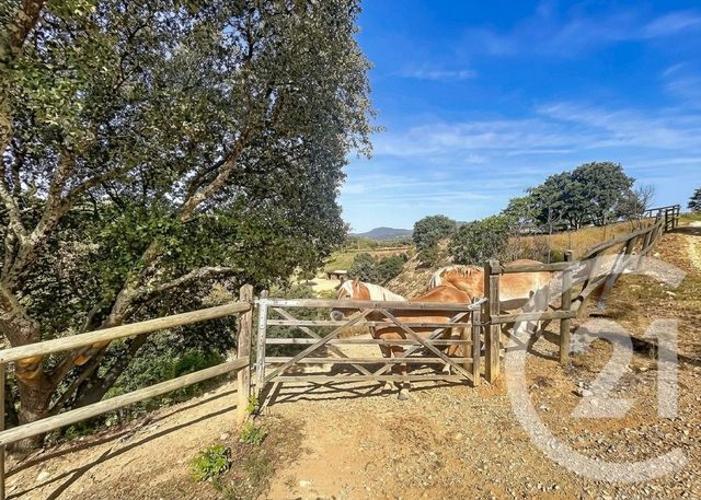 maison à vendre - 10 pièces - 435.0 m2 - ST JEAN DE FOS - 34 - LANGUEDOC-ROUSSILLON - Century 21 Vicarello