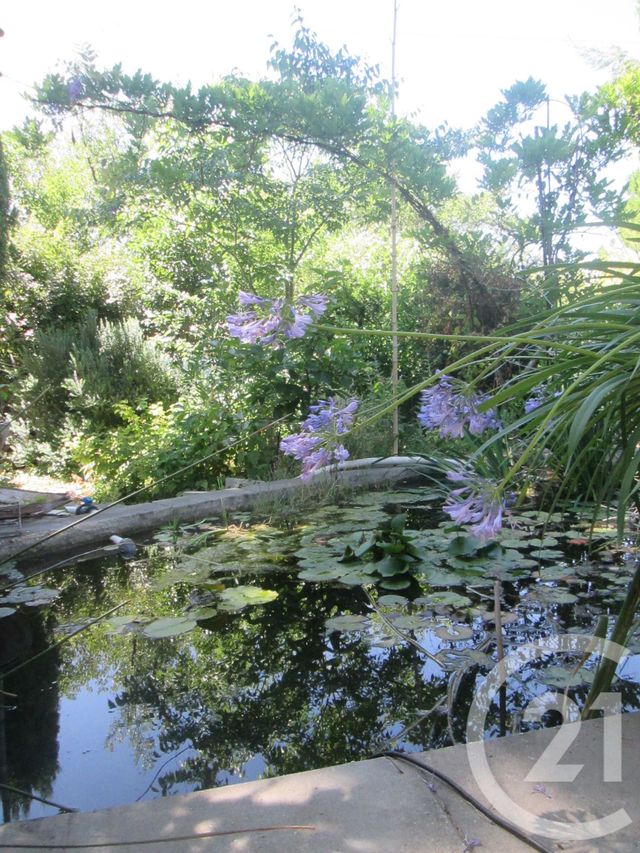 maison à vendre - 6 pièces - 175.0 m2 - VAILHAUQUES - 34 - LANGUEDOC-ROUSSILLON - Century 21 Vicarello