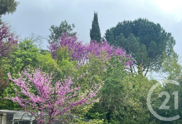 maison à vendre - 6 pièces - 175.0 m2 - VAILHAUQUES - 34 - LANGUEDOC-ROUSSILLON - Century 21 Vicarello