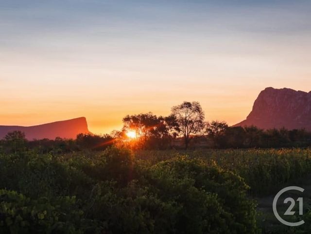 Appartement F2 à vendre - 2 pièces - 35.7 m2 - ST MATHIEU DE TREVIERS - 34 - LANGUEDOC-ROUSSILLON - Century 21 Vicarello