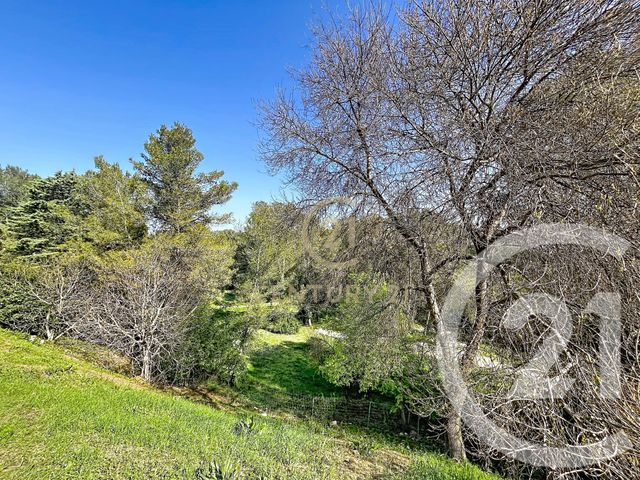 Appartement F2 à vendre - 2 pièces - 45.0 m2 - ST GELY DU FESC - 34 - LANGUEDOC-ROUSSILLON - Century 21 Vicarello