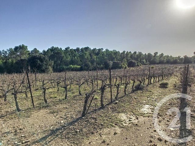 terrain à vendre - 11476.0 m2 - VACQUIERES - 34 - LANGUEDOC-ROUSSILLON - Century 21 Vicarello