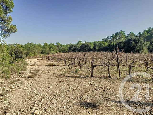terrain à vendre - 11476.0 m2 - VACQUIERES - 34 - LANGUEDOC-ROUSSILLON - Century 21 Vicarello